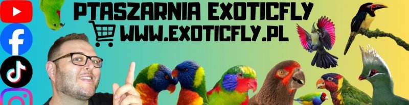 ExoticFly