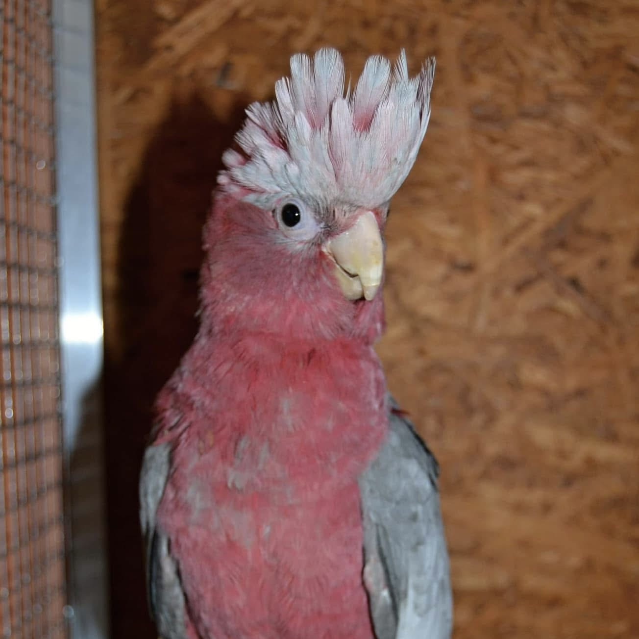 Jiří & Hana Mazurovi